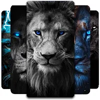 Lion Wallpaper