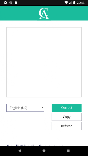 Corrector App: Grammar Checker Screenshot 0