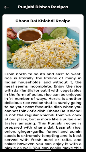 Punjabi Dishes Recipes Screenshot 3