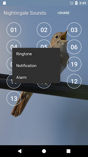 Nightingale Bird Sound Ringtones Screenshot 2