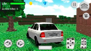 Driver Steve: Priora simulator Screenshot 0