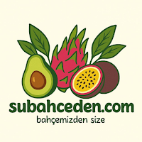 ŞUBAHCEDEN