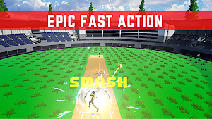 cricket game bat ball Screenshot 1