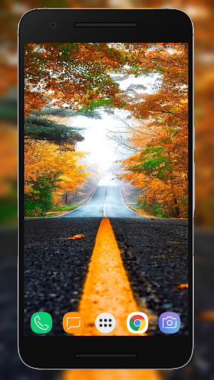 Road Wallpaper Screenshot 1
