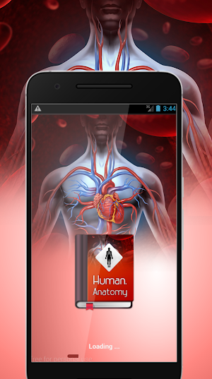 Human Anatomy Dictionary Offline Screenshot 0