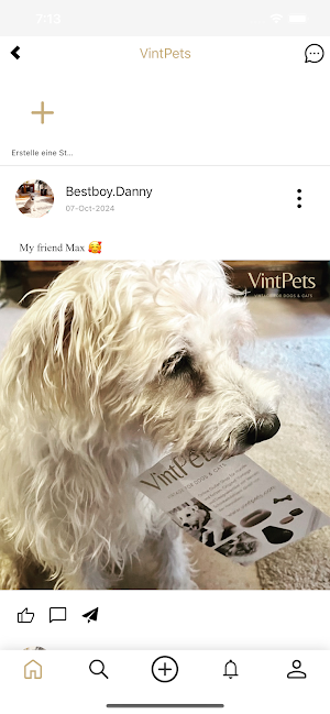 VintPets Screenshot 0