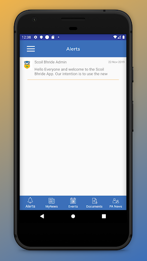 Scoil Bhride Naas Screenshot 1