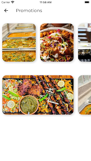 Salt & Pepper Indian Cuisine Screenshot 3