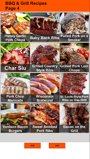150 Barbecue and Grill Recipes Screenshot 2