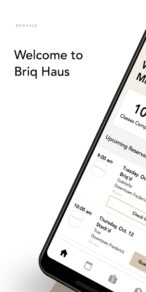 Briq Haus Screenshot 0