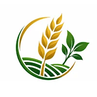 سنبلة معان