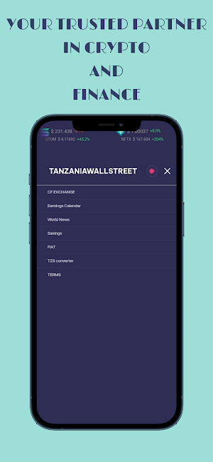 Tanzanian Wallstreet Screenshot 2