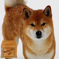shiba inu wallpaper