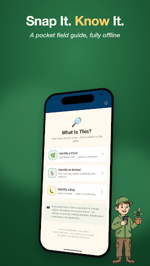 What Is This? Screenshot 1