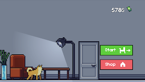 Walk Street Animals Screenshot 2