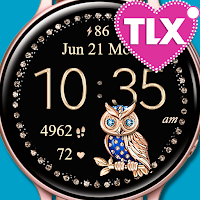 7 Owls Watch