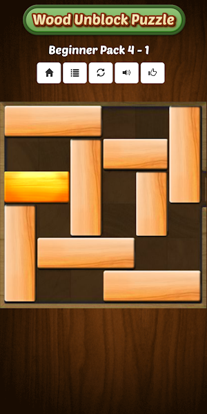 Unblock Wood Puzzle Games 2021 Screenshot 0