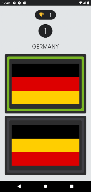 Flag vs Flag Screenshot 1
