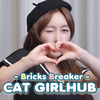Bricks Breaker Cat Girl Hub