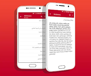 Arabic Turkish Dictionary Screenshot 1