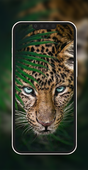 Animals Wallpaper Screenshot 3