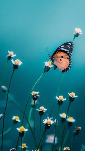 Butterfly Wallpaper Screenshot 3