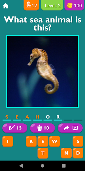 Guess The Sea Animal Game Screenshot 2