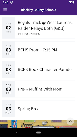 Bleckley County Schools Screenshot 0