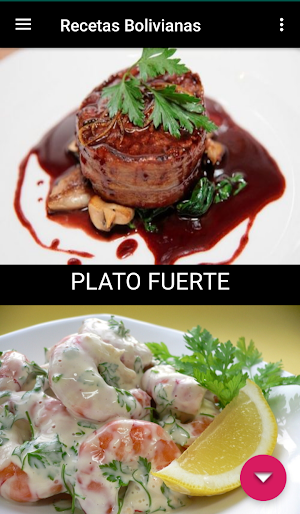 Recetas Bolivianas - Comida Boliviana Screenshot 0