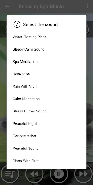 Relaxing Spa Music | Music for Stress Relief Screenshot 1