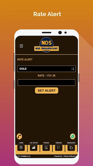 NDS Bullion Screenshot 2