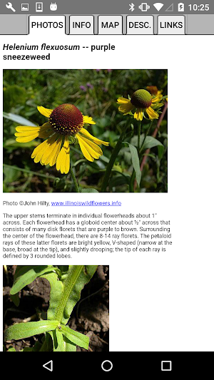 South Carolina Wildflowers Screenshot 3