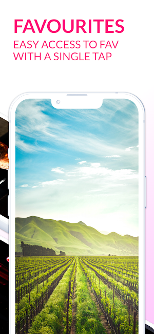 Wine Wallpapers 8K ULTRA Screenshot 2