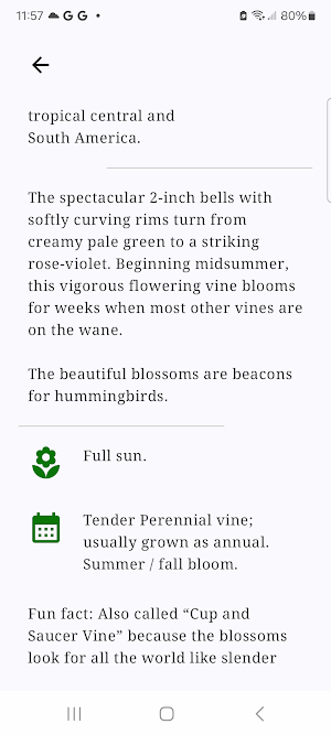 Bloom Steps: Flower Watch Face Screenshot 2