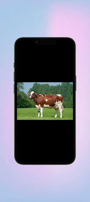 Sapi WalL Screenshot 0