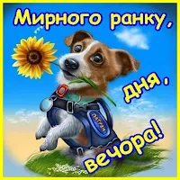 Мирного ранку, дня, вечора