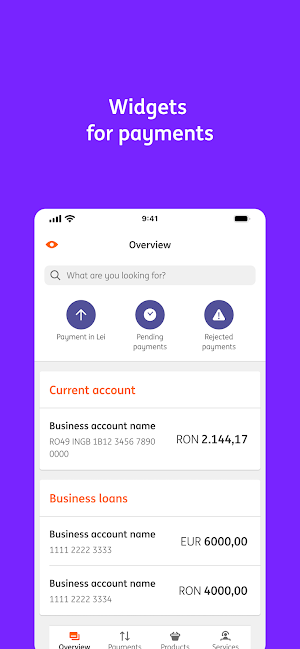 ING Business Pro Screenshot 1