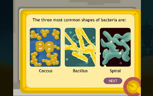Kingdom Monera (Bacteria) Screenshot 3