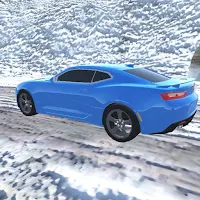 Real Car Simulator