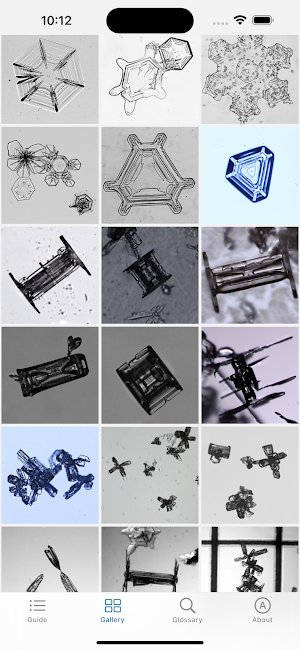 SnowTool Screenshot 2