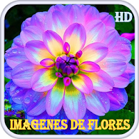Imágenes de Flores