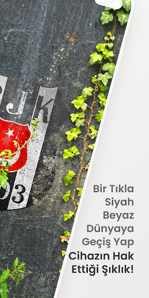 Beşiktaş Duvar Kağıtları Screenshot 1