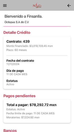 Finsanlla Screenshot 3