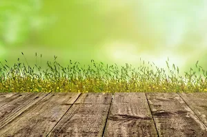 Horizontal wallpapers Screenshot 1