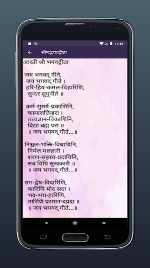 Shrimad Bhagwat Geeta Hindi Screenshot 3