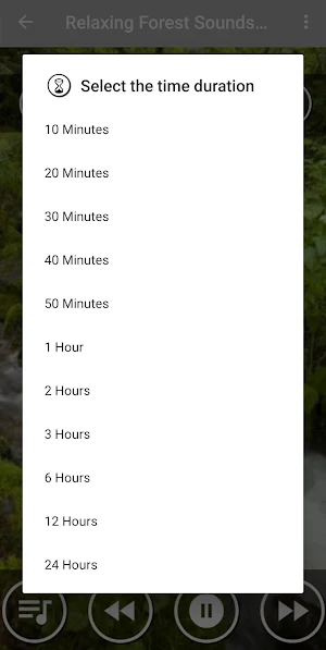 Forest and Nature Sounds for Relaxation Screenshot 2