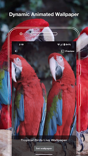 Tropical Birds Live Wallpaper Screenshot 1