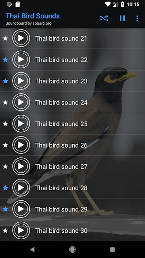 Thai Bird Sounds ~ Sboard.pro Screenshot 3