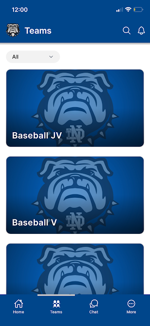 Notre Dame Bulldogs Screenshot 1