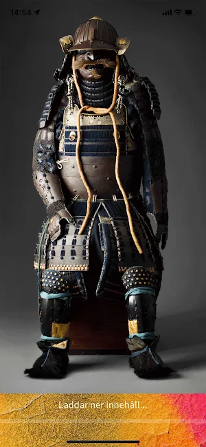 Världskulturmuseerna Screenshot 0
